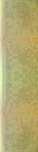 bysaevo_pojtwr_yelline