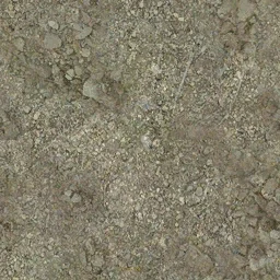 byssch_flwdirt