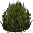 kbplanter_plants1