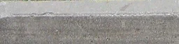 bat_arb_bord
