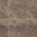 gangwall2