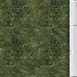border_grass