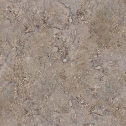 ground