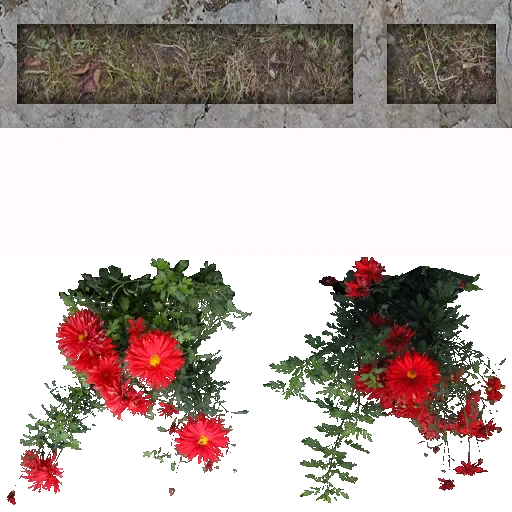 apat_flowers