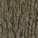 treewillow-bark0_lifo_128x128