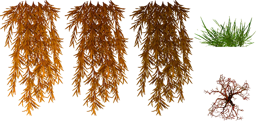 treewillow99