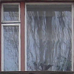 window02