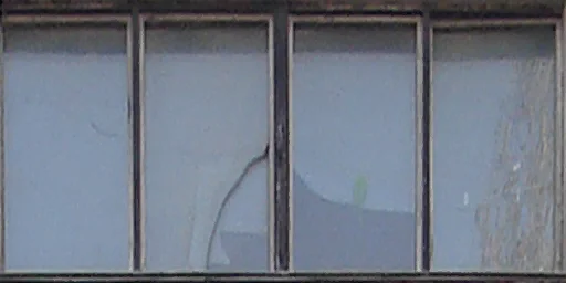 window6