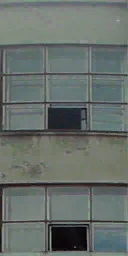 dom_soy_2