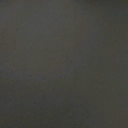 potolok