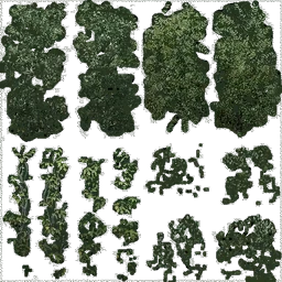edovo_coundom_flora