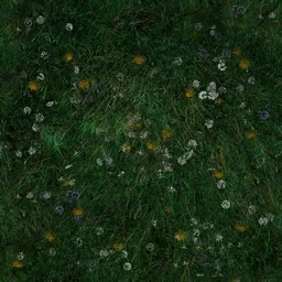 edovo_dom4_grassflowersdark