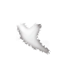 cardebris_04