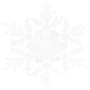 flake1