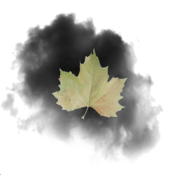 foliage