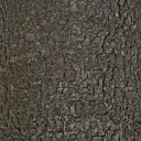 silverbrk