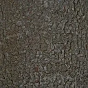 silverbrk