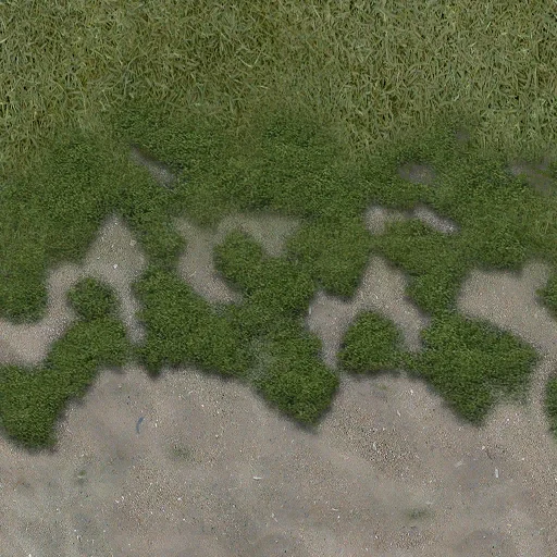 ws_drysand2grass