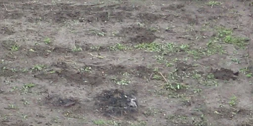 gryadka_04