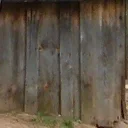 4_dog_02