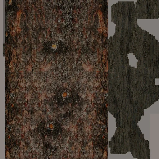 stvolsosna_b