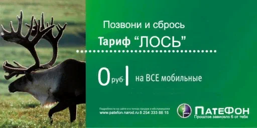 tarifolen_patifon