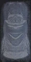 car_cover4