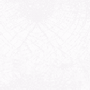 whitea128
