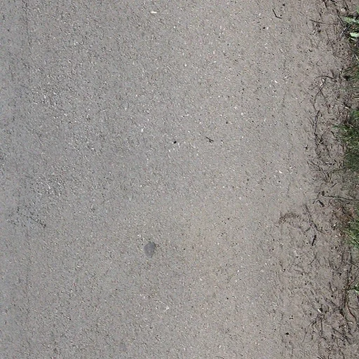 perroad_01