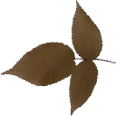 veg_leafred