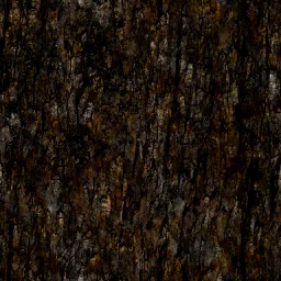pine1(1)