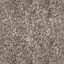sprucebark