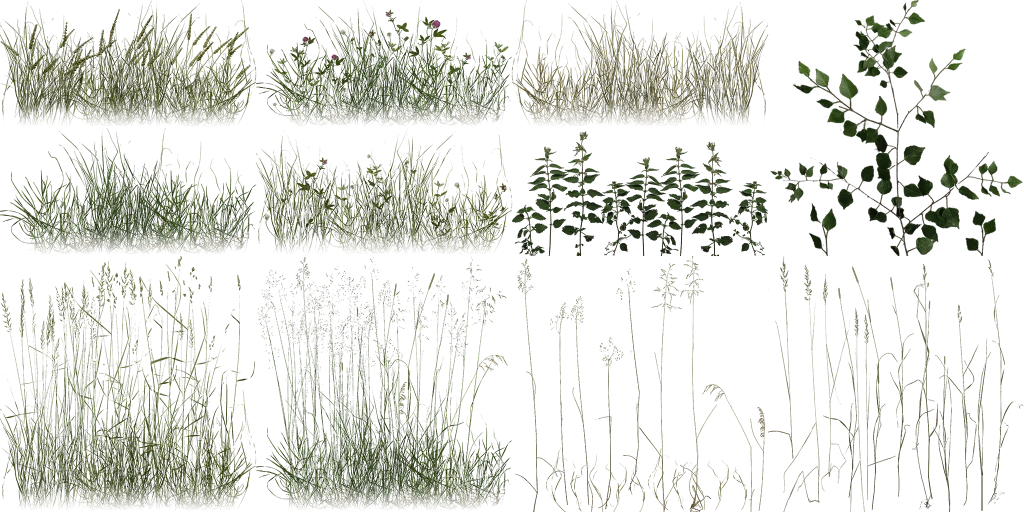 hunter_moregrass