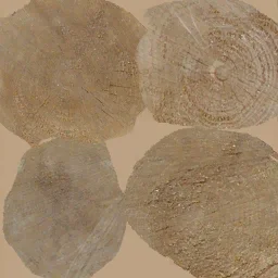 hunter_wood_torec