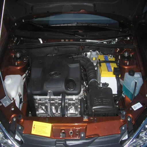 dviga2