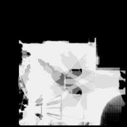 black256