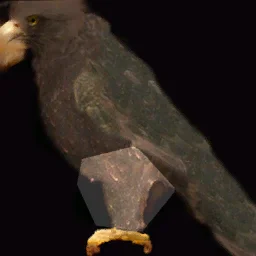 eagle3