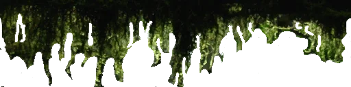 iz_moh