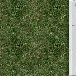 border_grass