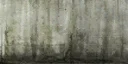 pod_roof_2