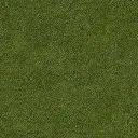grass_128hv