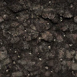 wal48go