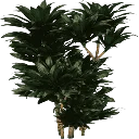 plantc256