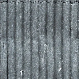 kor_dachnegg_shiffer