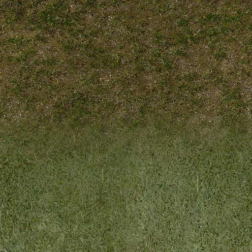 ryz_xvoinles_grassmix