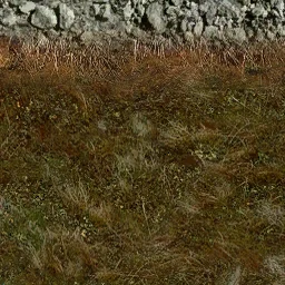 oldg2_rw_brn