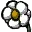flwr