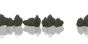 bushes
