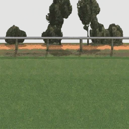 trees