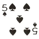 cd5s